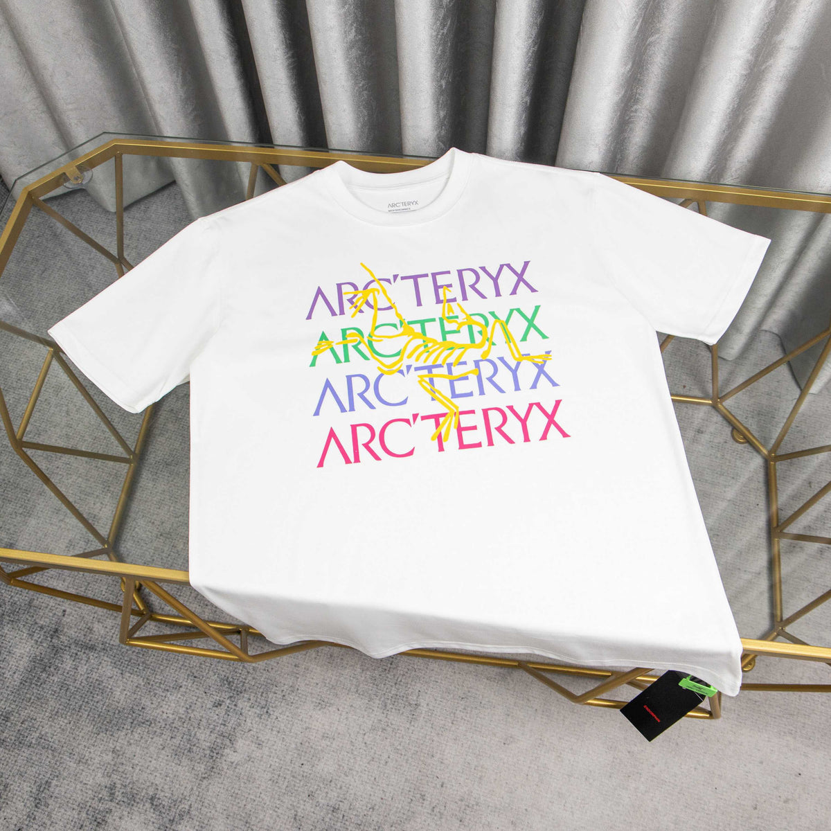 Arc'teryx Rainbow Multi-Color Logo Print Oversized T-Shirt
