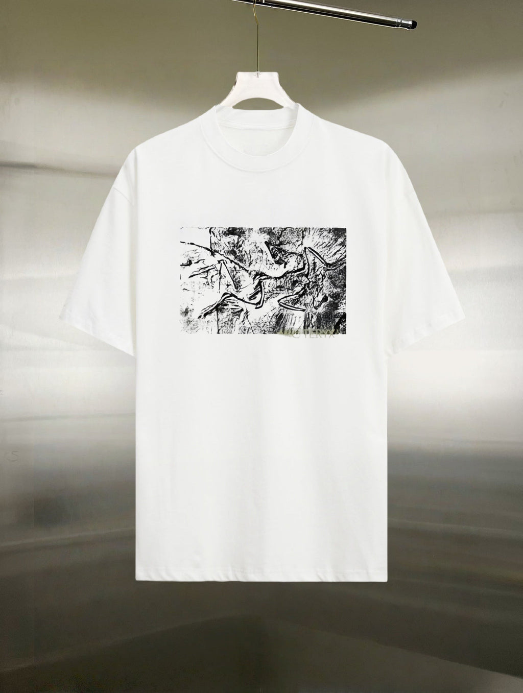 Arc'teryx Abstract Distressed Fossil‑Bird Graphic SS T‑Shirt
