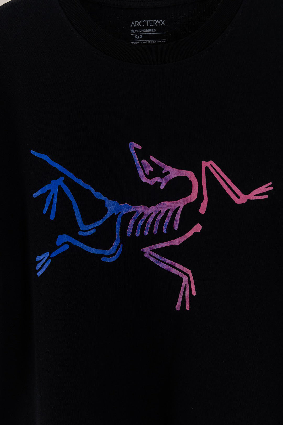 Arc'teryx Archaeopteryx Gradient Big Bird Short‑Sleeve T‑Shirt