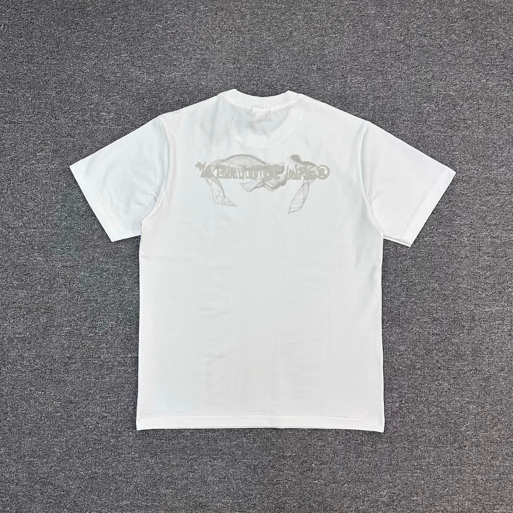 BAPE FW25 Mosquito Coil Ink Wash Ape Sumi-E Oversized Heavyweight Unisex T-Shirt