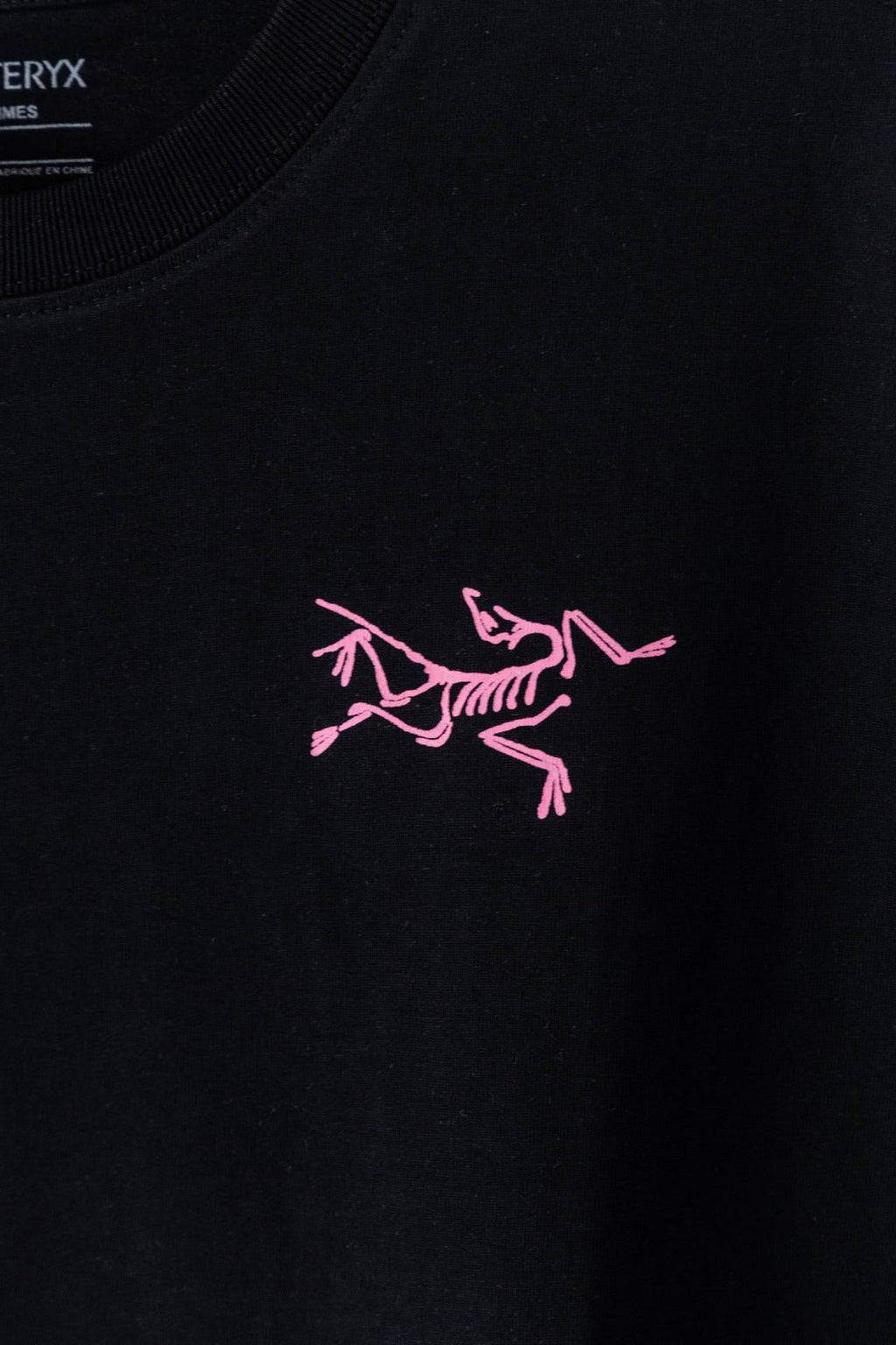 Arc'teryx Kragg Cotton Little Bird Short‑Sleeve T‑Shirt