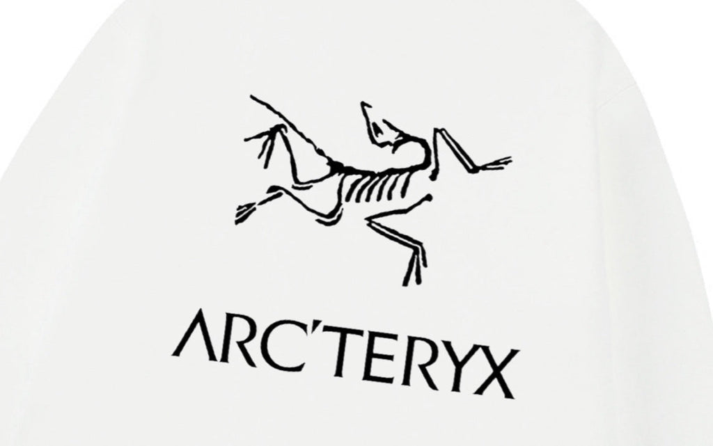 Arc'teryx Oversized Logo Print Fleece-Lined Hoodie