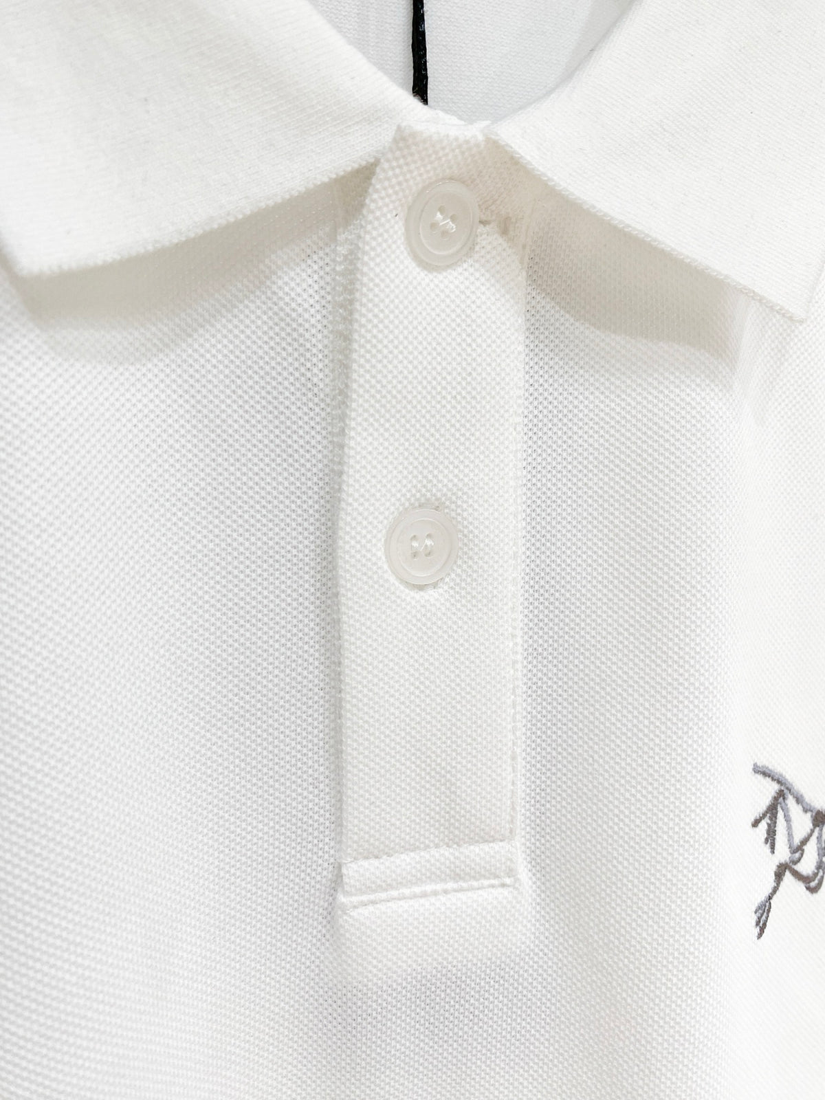 Arc'teryx Embroidered Logo Short‑Sleeve Polo Shirt