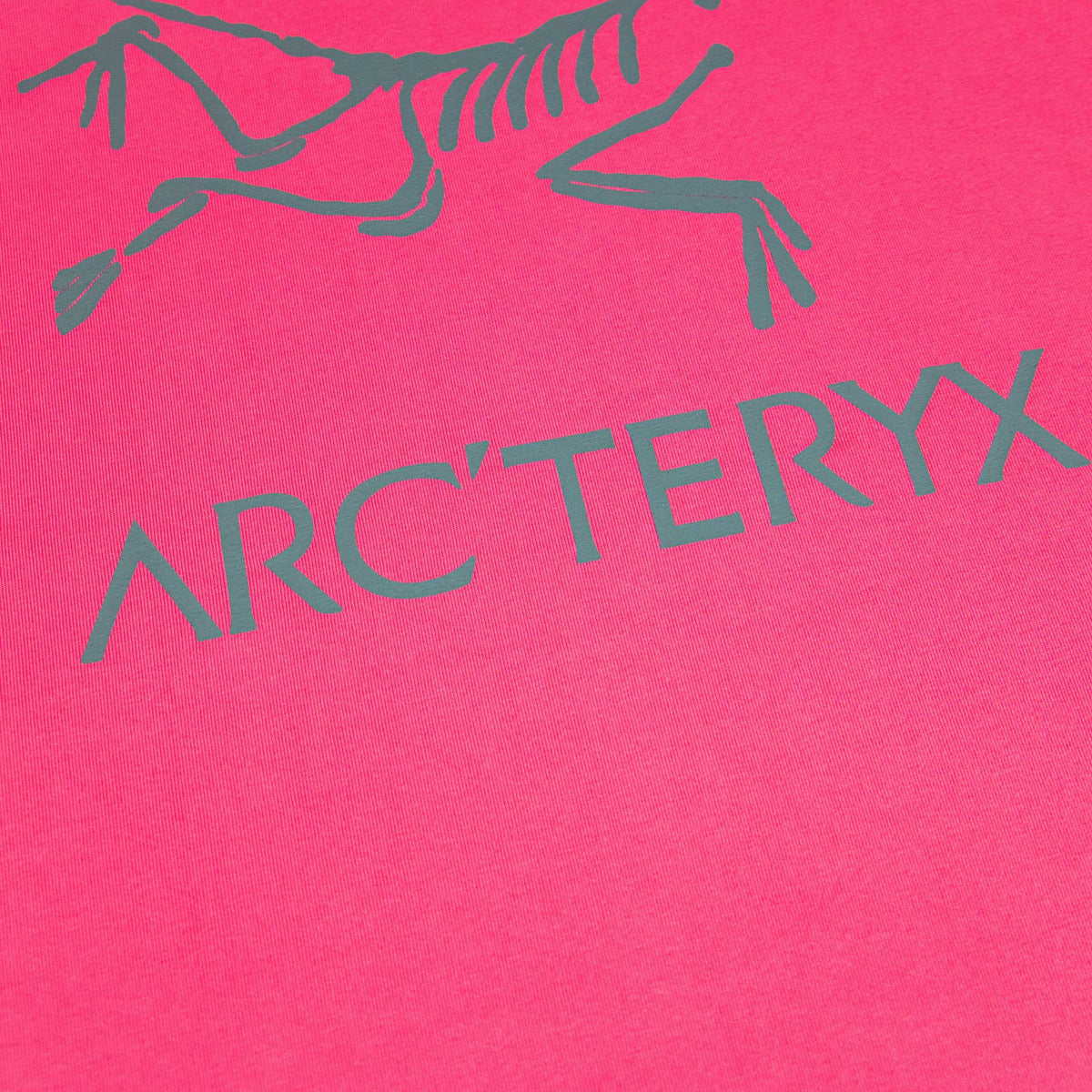 Arc'teryx ARC25FW Five-Stitch Seam Skeleton Bird Logo Unisex T-Shirt