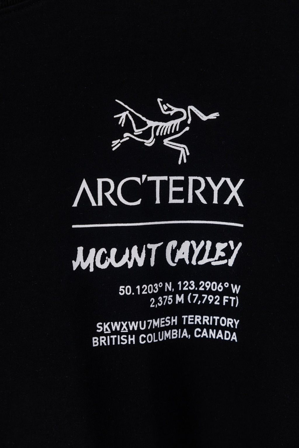 Arc'teryx Captive Legend Short‑Sleeve T‑Shirt（Unisex）
