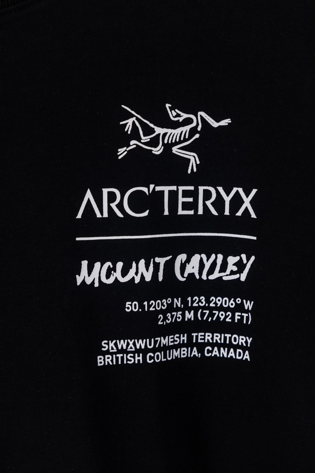 Arc'teryx Captive Legend Short‑Sleeve T‑Shirt（Unisex）